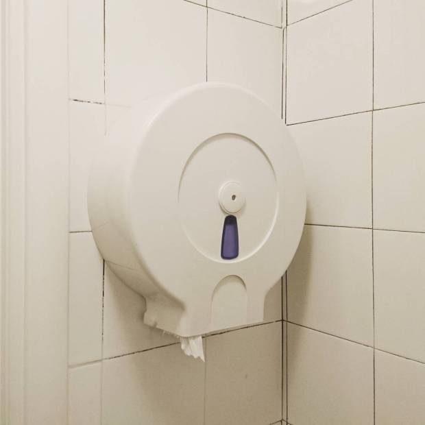 Riomaggiore, toilet interior, toilet paper dispenser