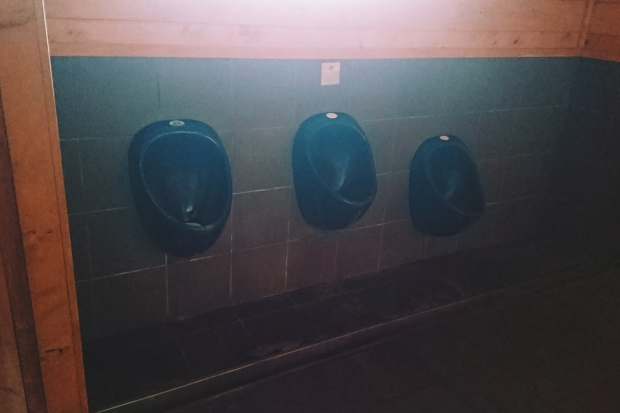 Muriwai public toilets, interior, men's urinals