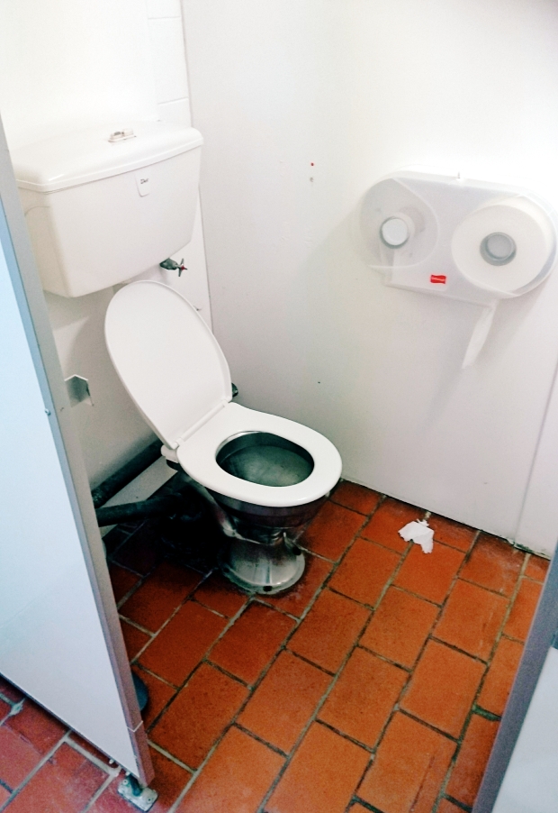 Whakatane airport, internal, main toilet, stall